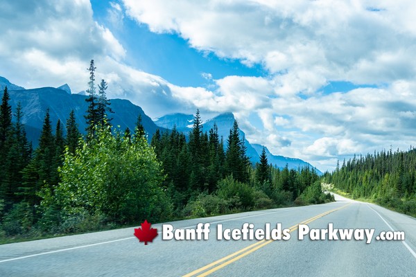 Banff Icefields Parkway